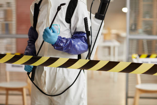 Professional Blood Cleanup technician working in Pacific Beach, WA