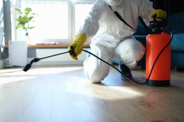 Reliable Blood Cleanup contractor in Pacific Beach, WA by Trauma Clean Pros